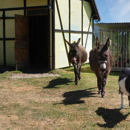 Vakantiepark Piastowy Dwor