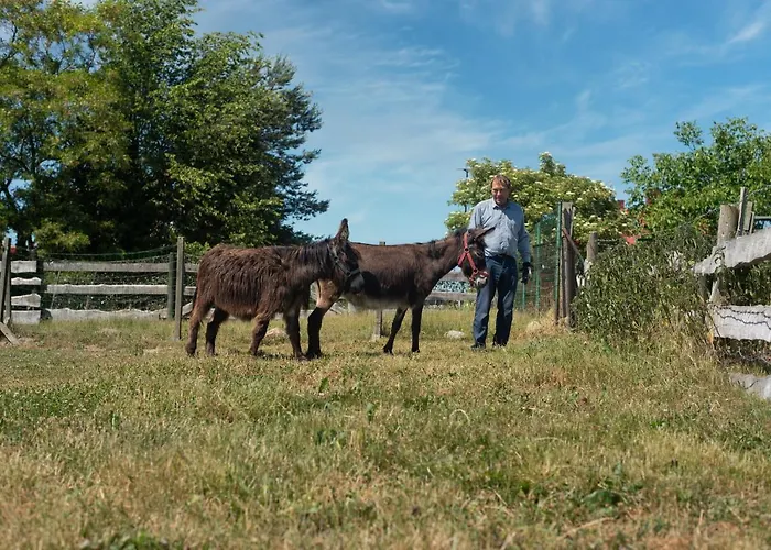 ホリデーパーク Piastowy Dwor *