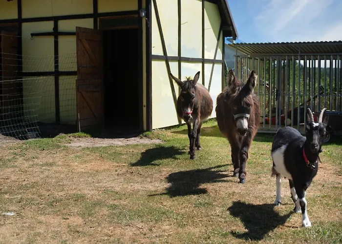 ホリデーパーク Piastowy Dwor