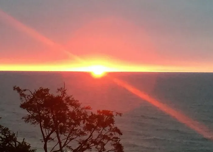 Piastowy Dwor * Jastrzębia Góra